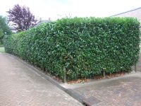 Onderhoud Marum